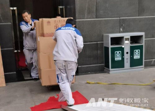 成都搬家公司服务哪家更好