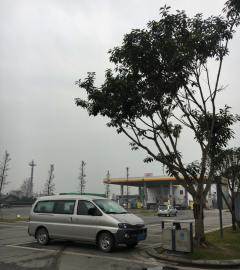 成都搬家拉货长短途均可